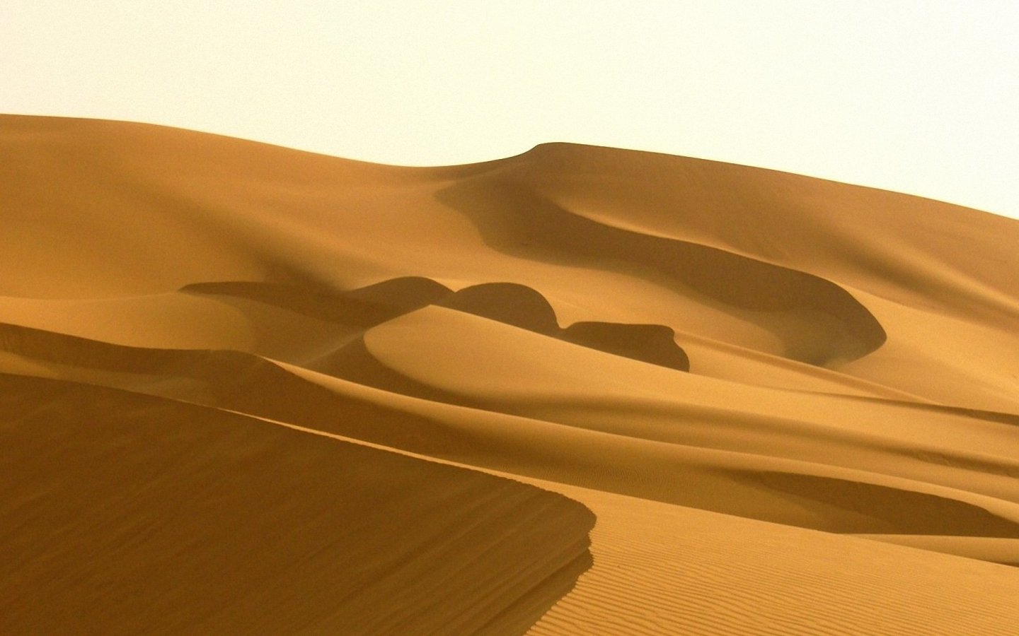 Sahara Wallpaper