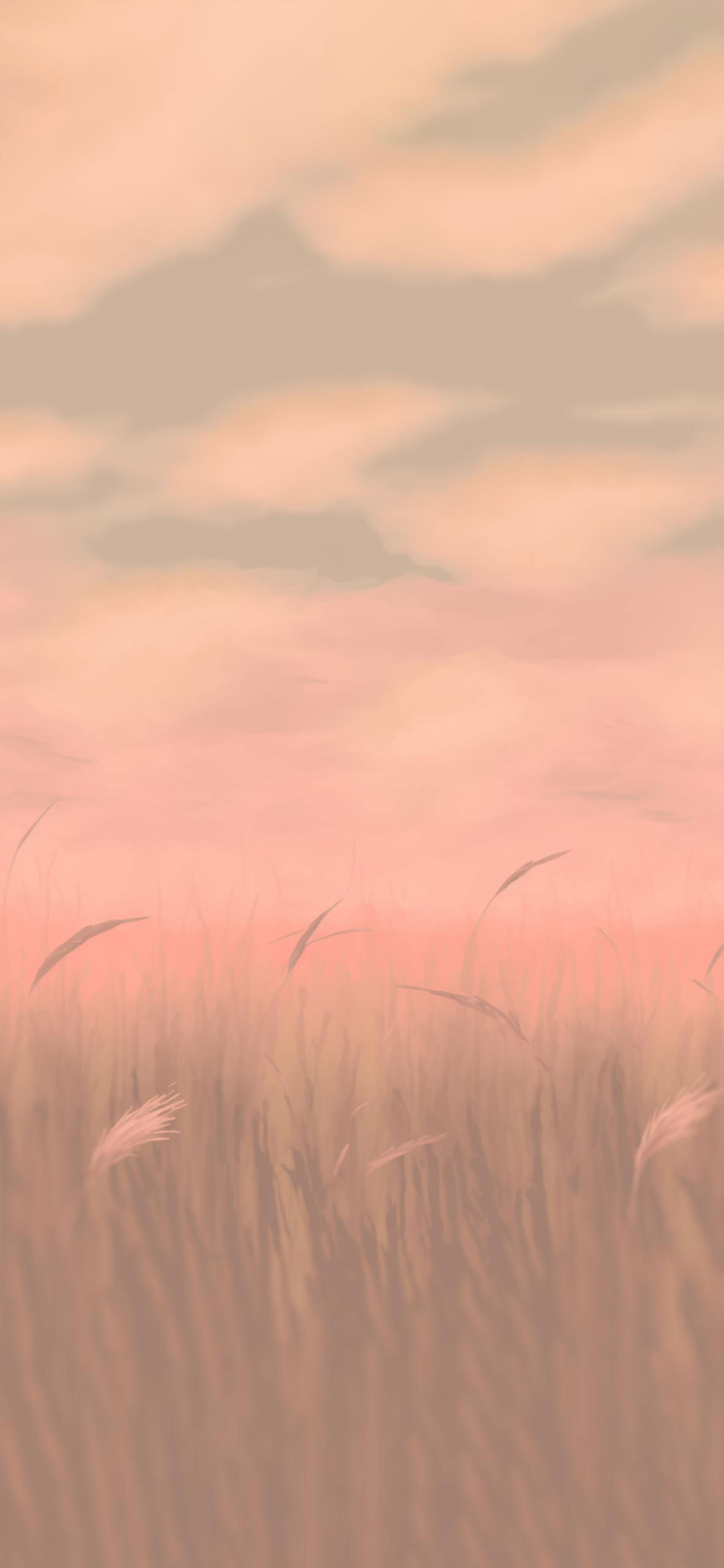 Wheat Field Background Wallpaper
