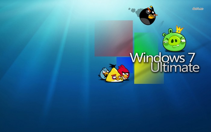  angry birds edition computer wallpaper HD WallPapers