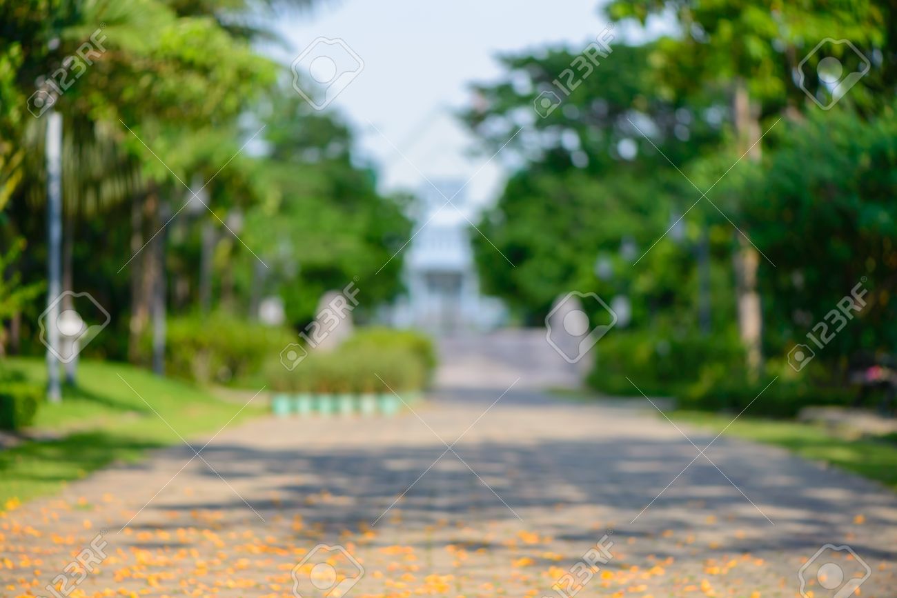 Blurred Background Blur Park With Bokeh Light Natural