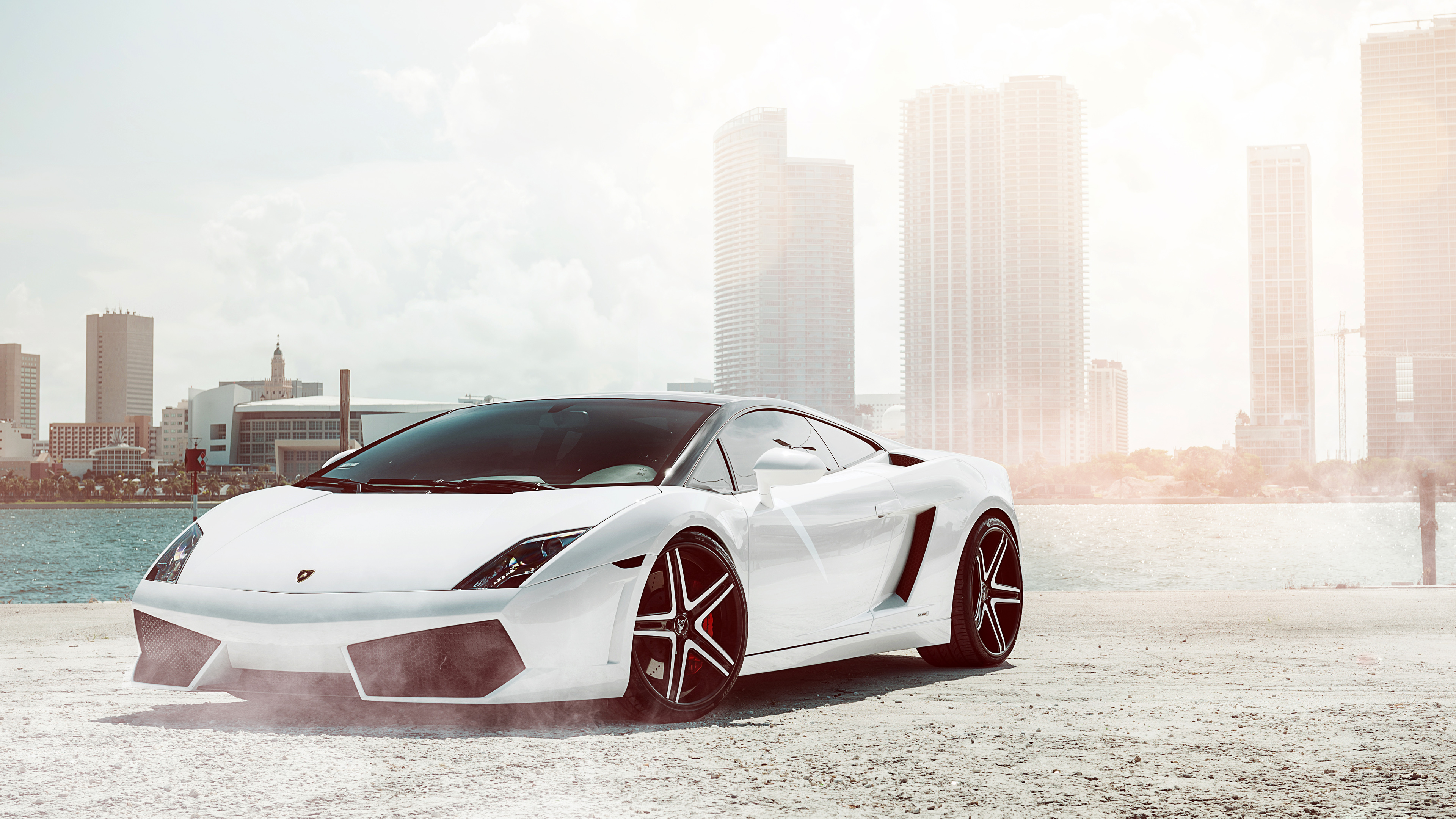 White Lamborghini Gallardo parked by the waterfront with a cityscape in the background