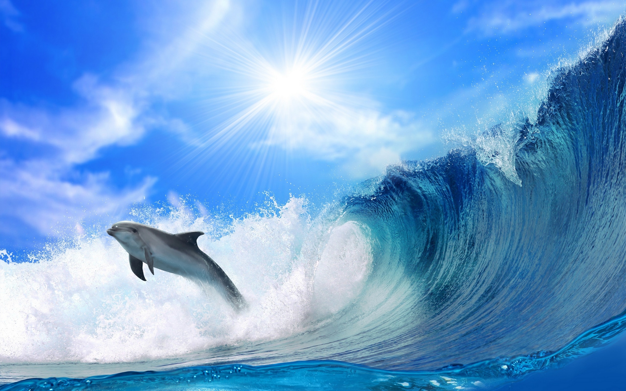 Dolphin Wallpaper Desktop Animals Wave Sun