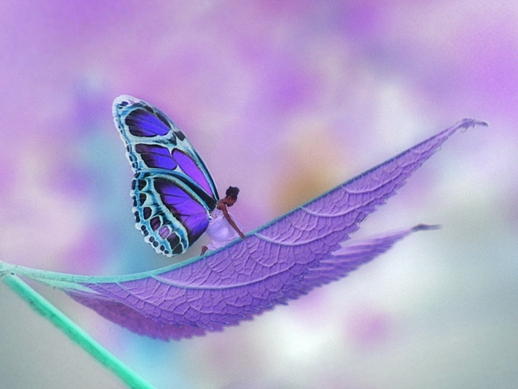 Purple Fairy Wallpaper Desktop Cool Hivewallpaper