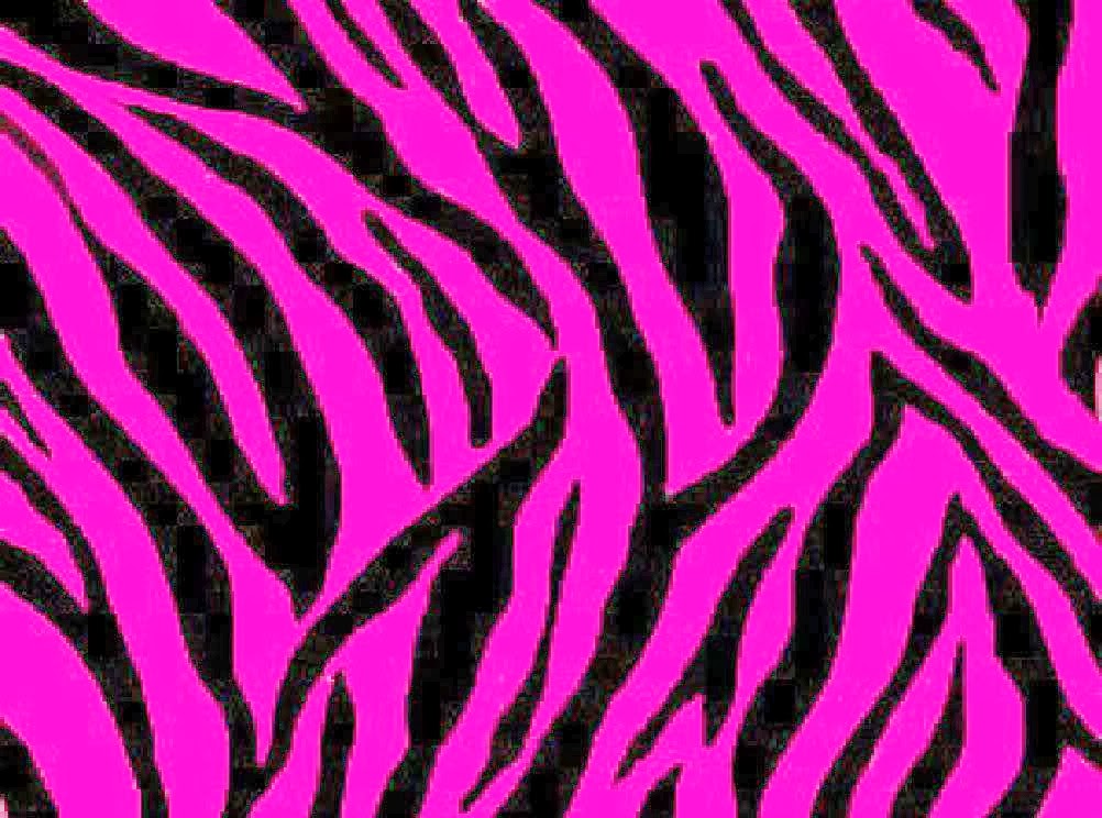 Free download Zebra WallpaperZebra Print WallpaperZebra Wallpaper ...