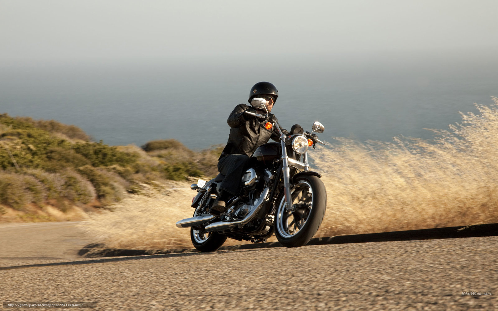 Download wallpaper Harley Davidson Sportster XL 883L Sportster 883
