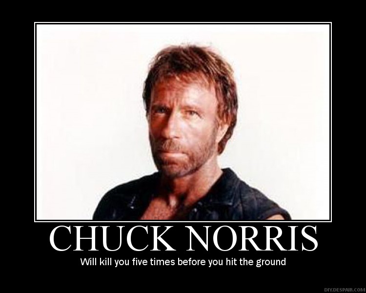 Chuck Norris Demotivational By Randomgibberish