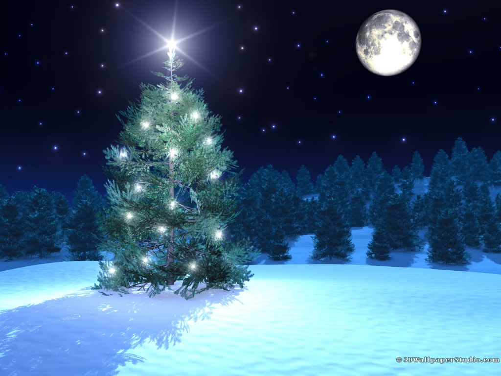 Christmas Tree Wallpaper In Screen Resolution