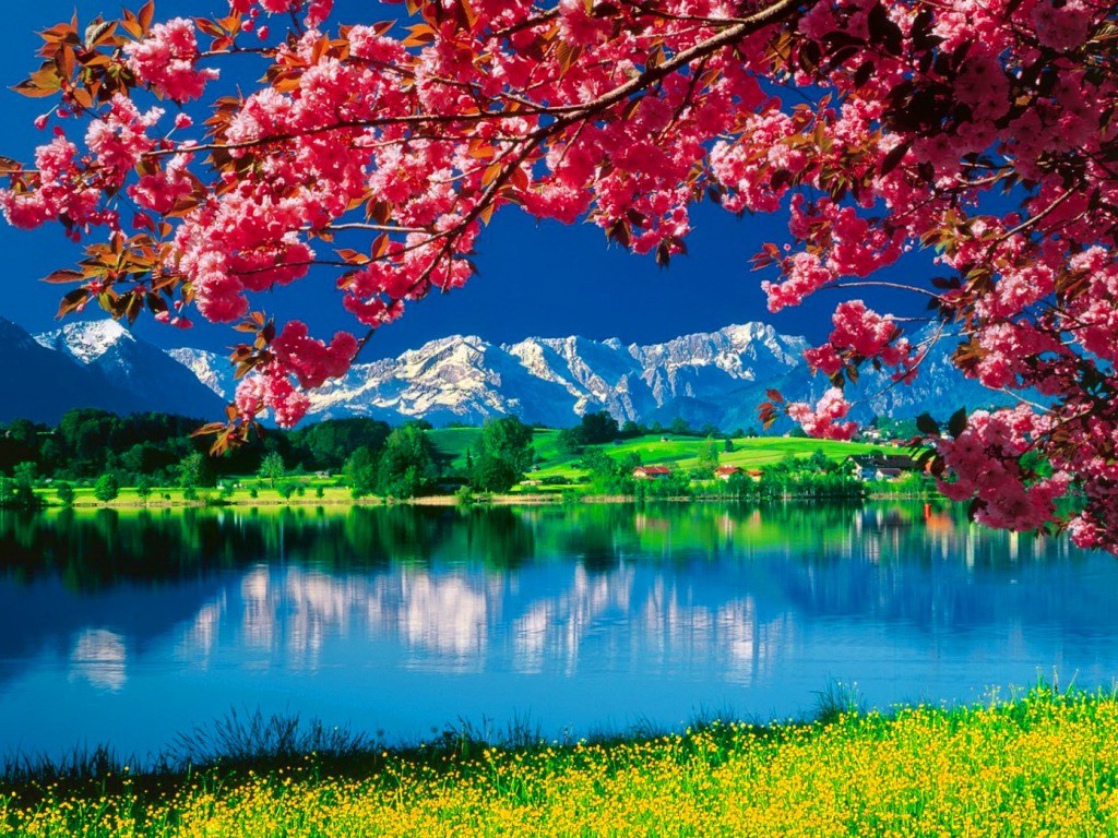 Full HD Beautiful 3d Nature Wallpaper Picture