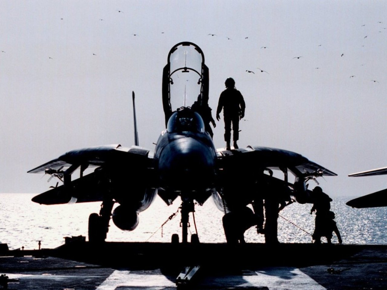 14 Tomcat of US Naval Aviation on the deck of the US Aircraft