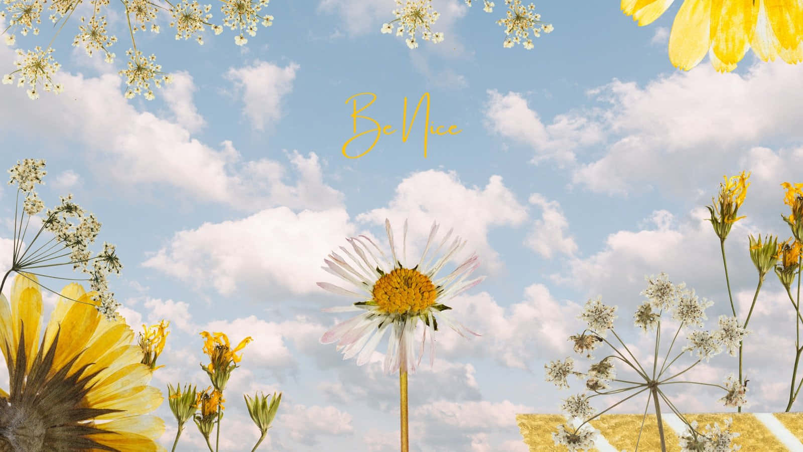 Daisy Aesthetic Computer Wallpaper Kostenlos En