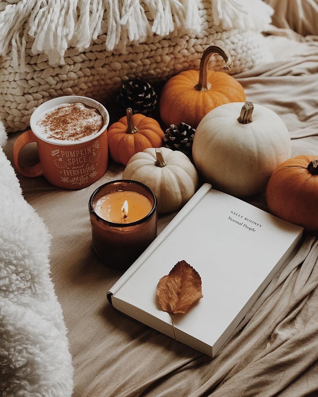 Tammy Tindol On Autumn Wallpaper