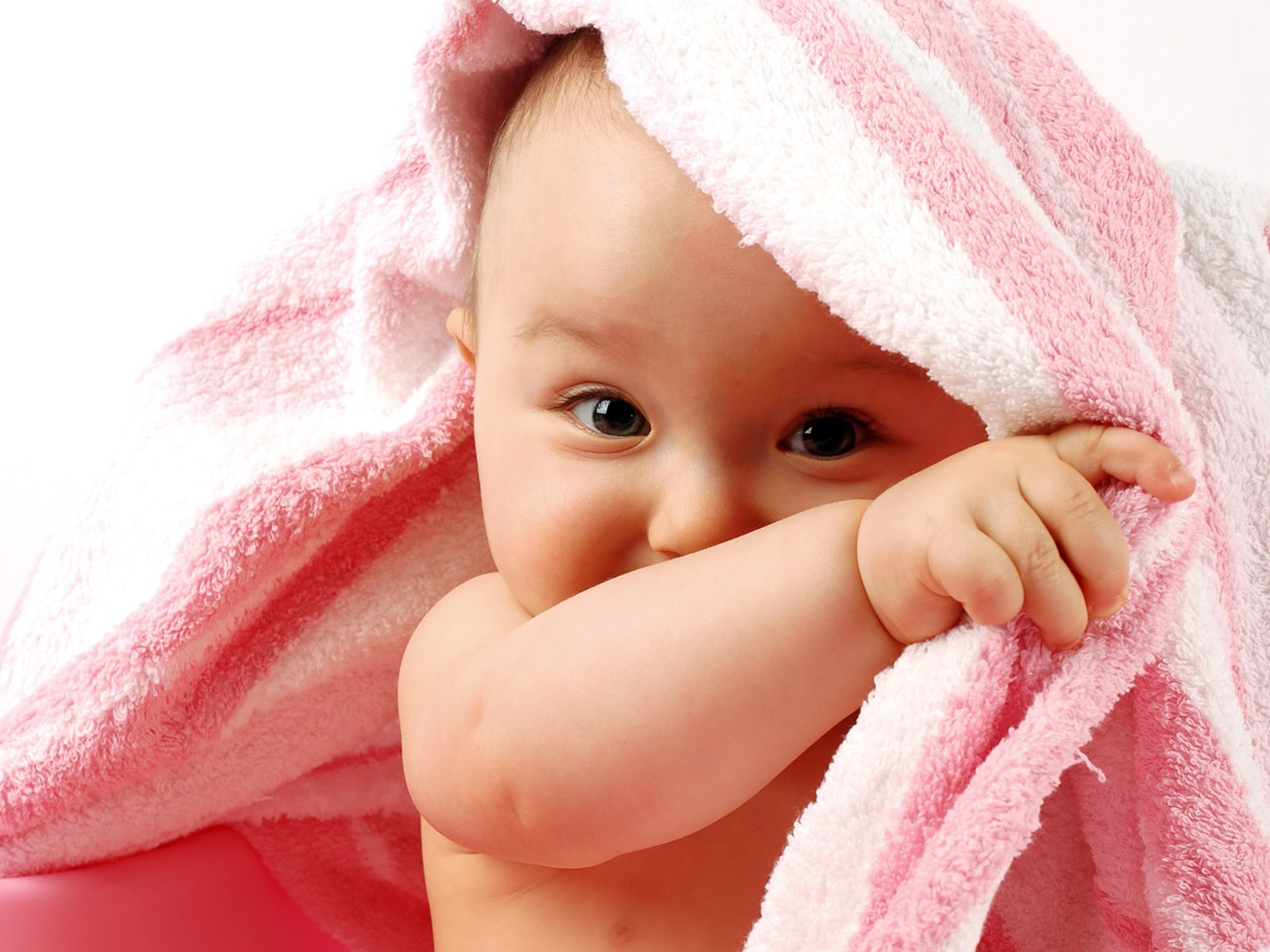 Cute Baby Girl Is Lying Down Inside Bamboo Basket Wearing Light Pink Dress  HD Cute Wallpapers | HD Wallpapers | ID #101255