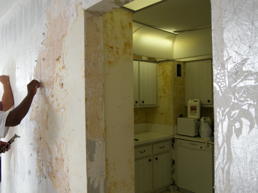 Free download Painting Inc Professional Wallpaper Removal Services in