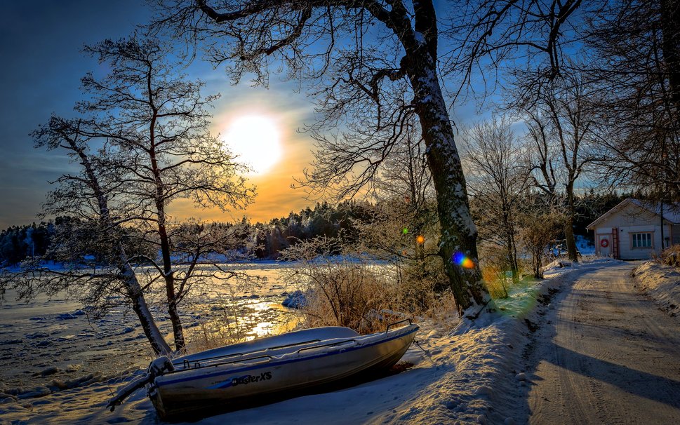 Winter Sun Wallpaper