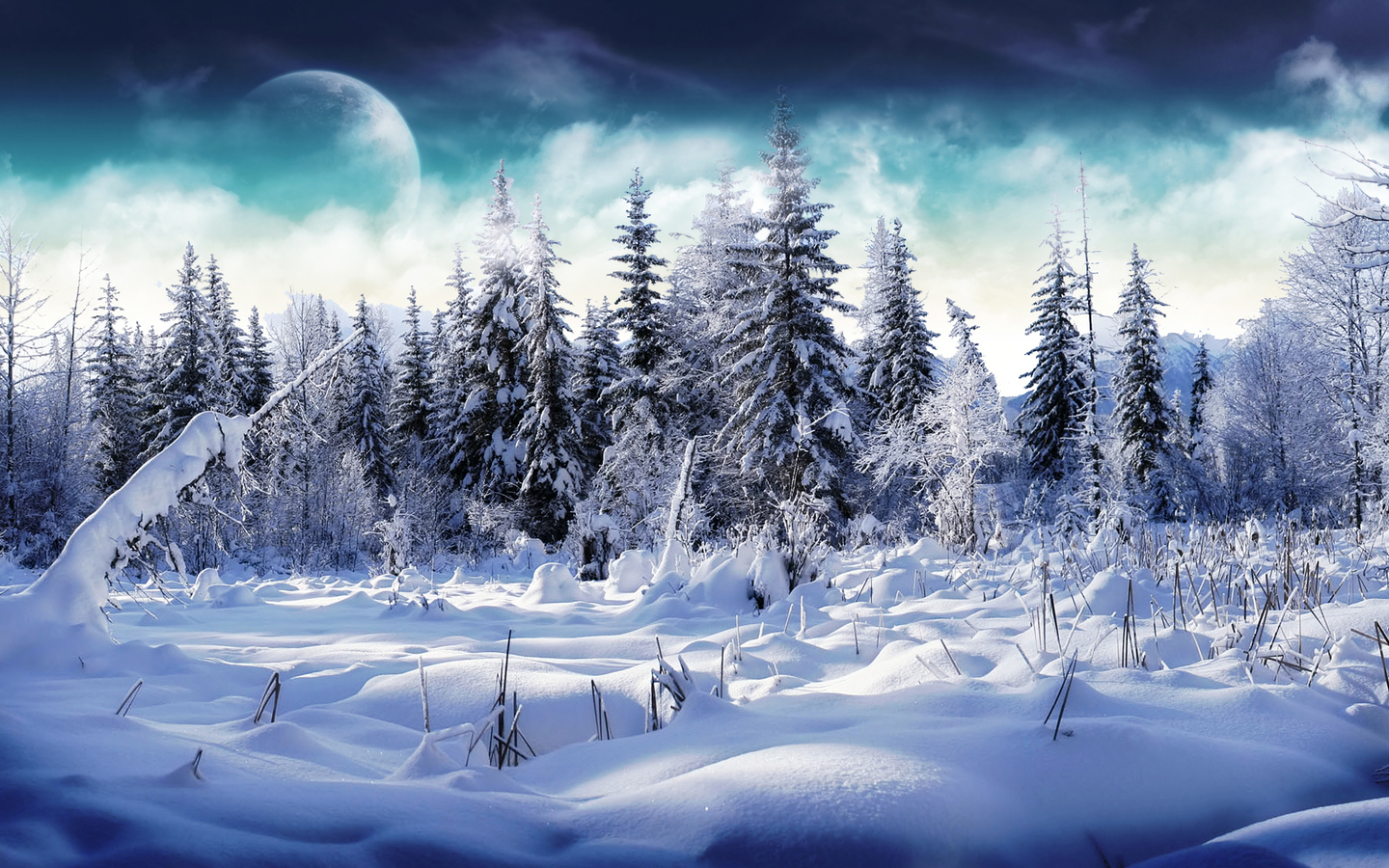 Free Download Winter Scenery PowerPoint Backgrounds PowerPoint E