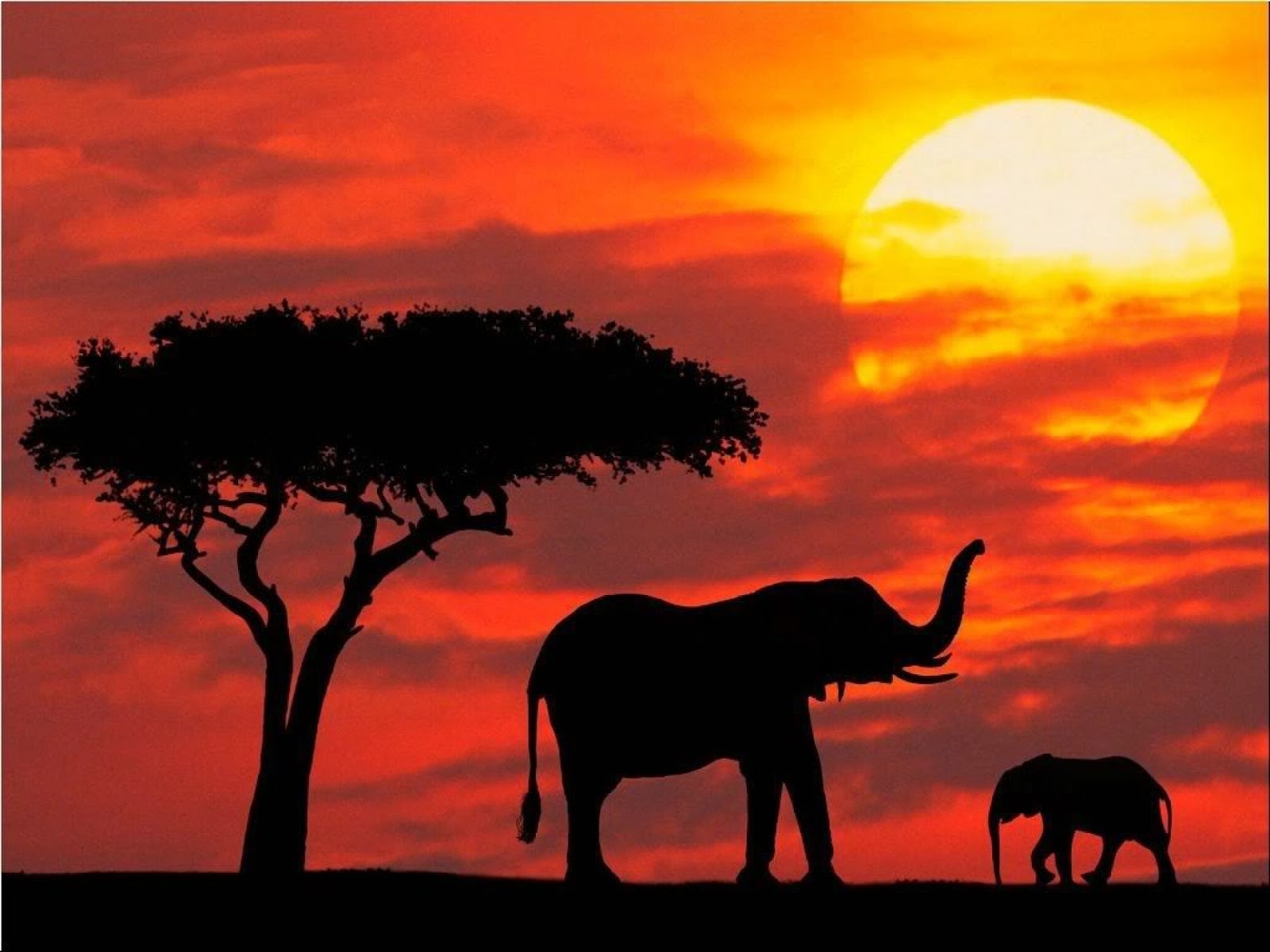 High Definition Wallpaper Club African Sunset