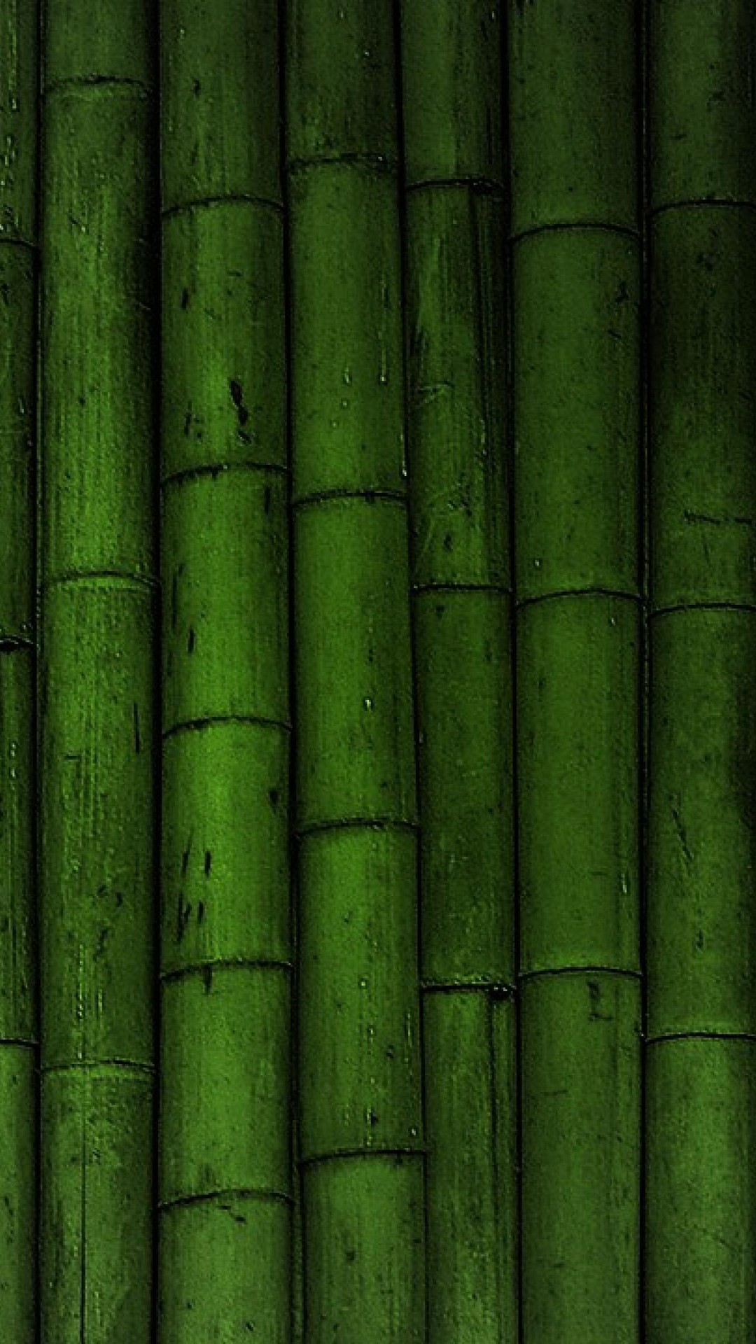 HD Bamboo Background For Your