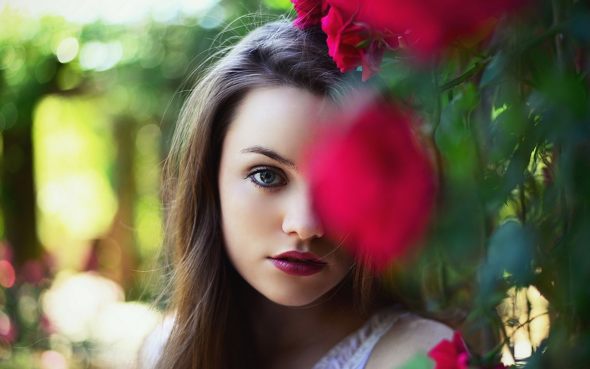 Beautiful Full HD Wallpaper And Image
