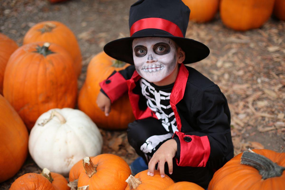 Diy Skeleton Costume Ideas For Halloween