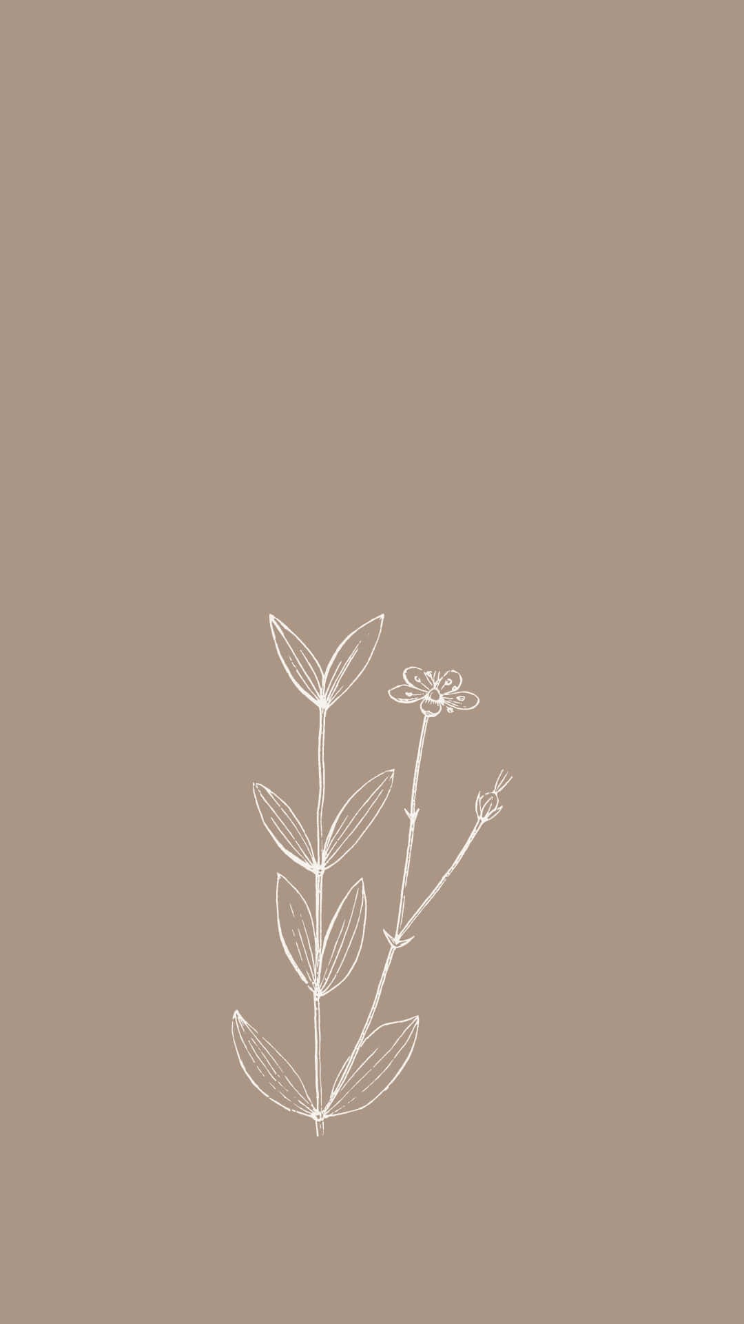 Image An Aesthetic Minimalist iPhone Wallpaper