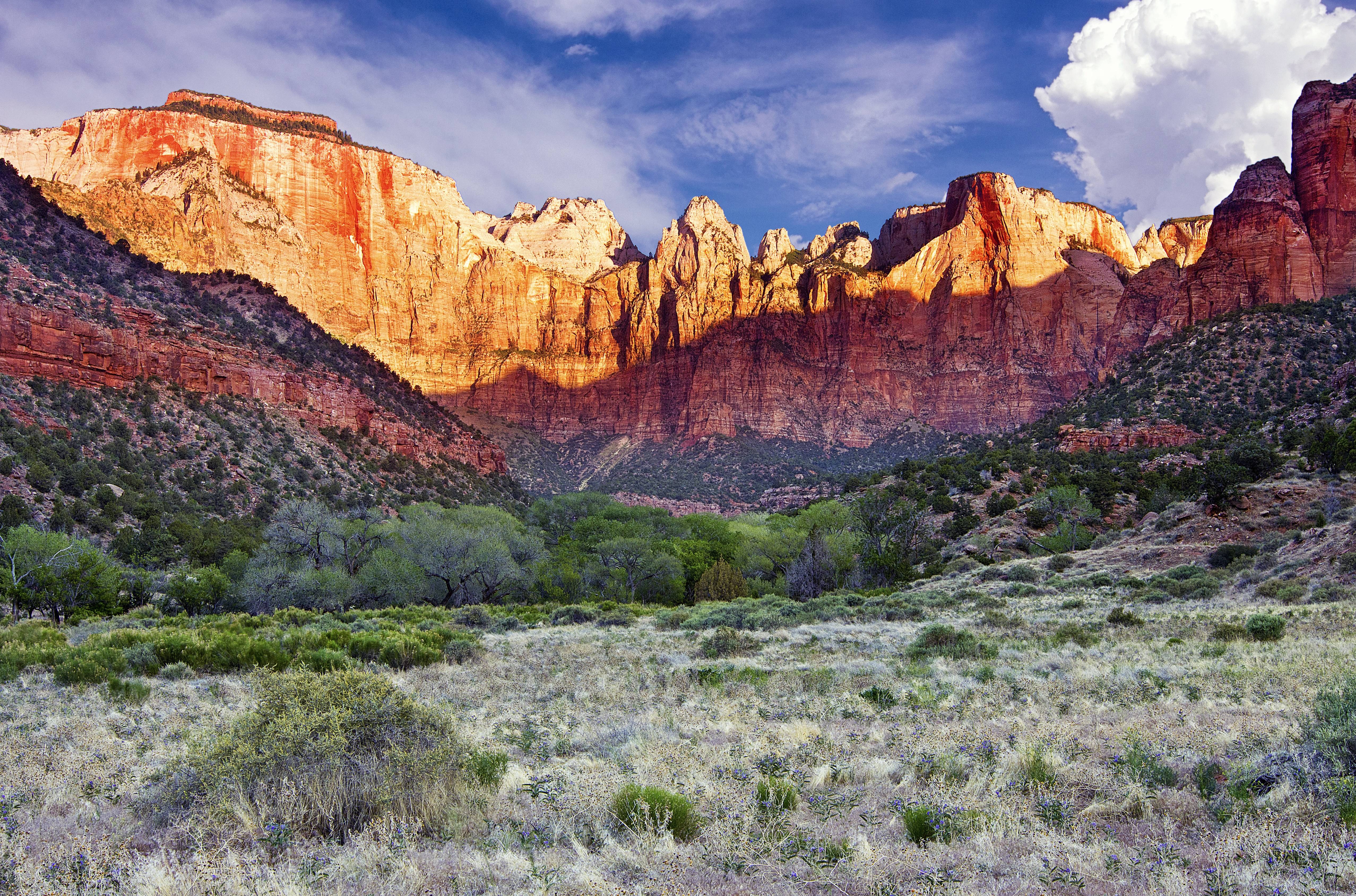 Zion National Park usa mountains landscape wallpaper background 5110x3378