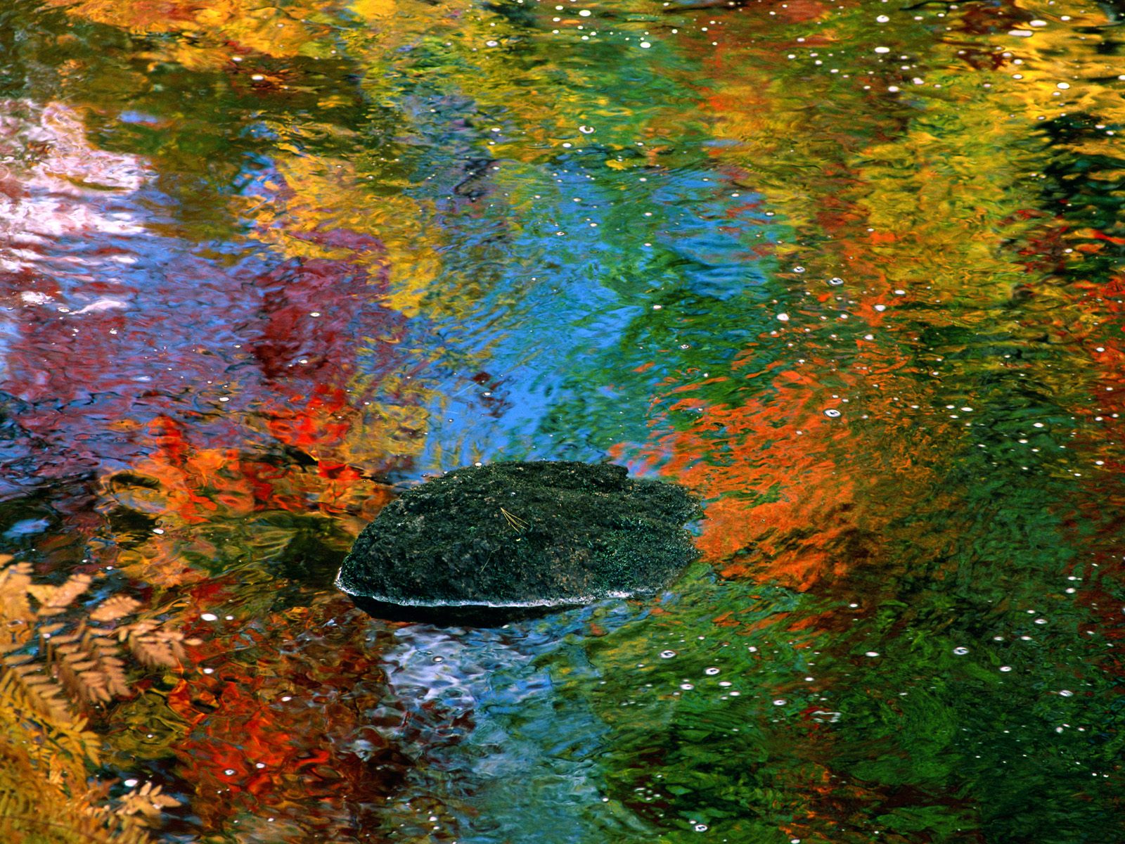 HD Autumn Wallpaper Reflections Of Maine 3d