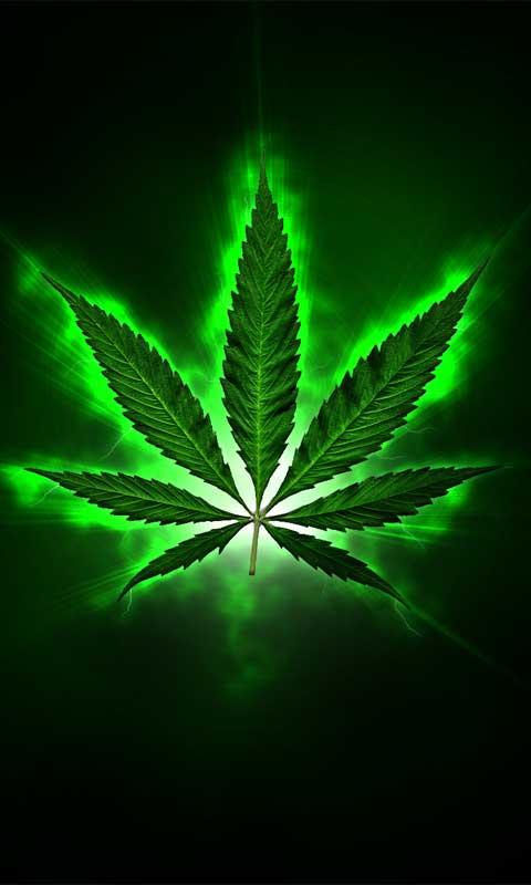 Marijuana Leaf Wallpaper - WallpaperSafari