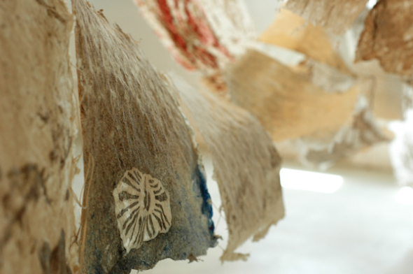 selected sheets is imagery of seed pods fossil structures and local