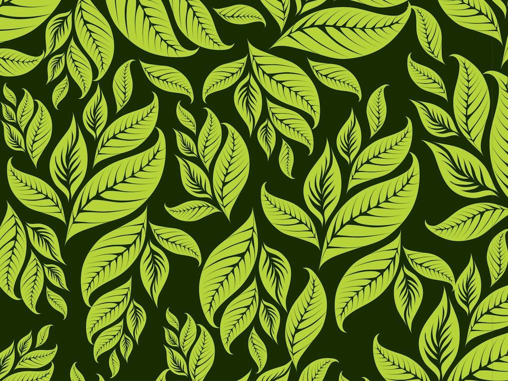 Leaf Pattern Wallpaper Release Date Price and Specs