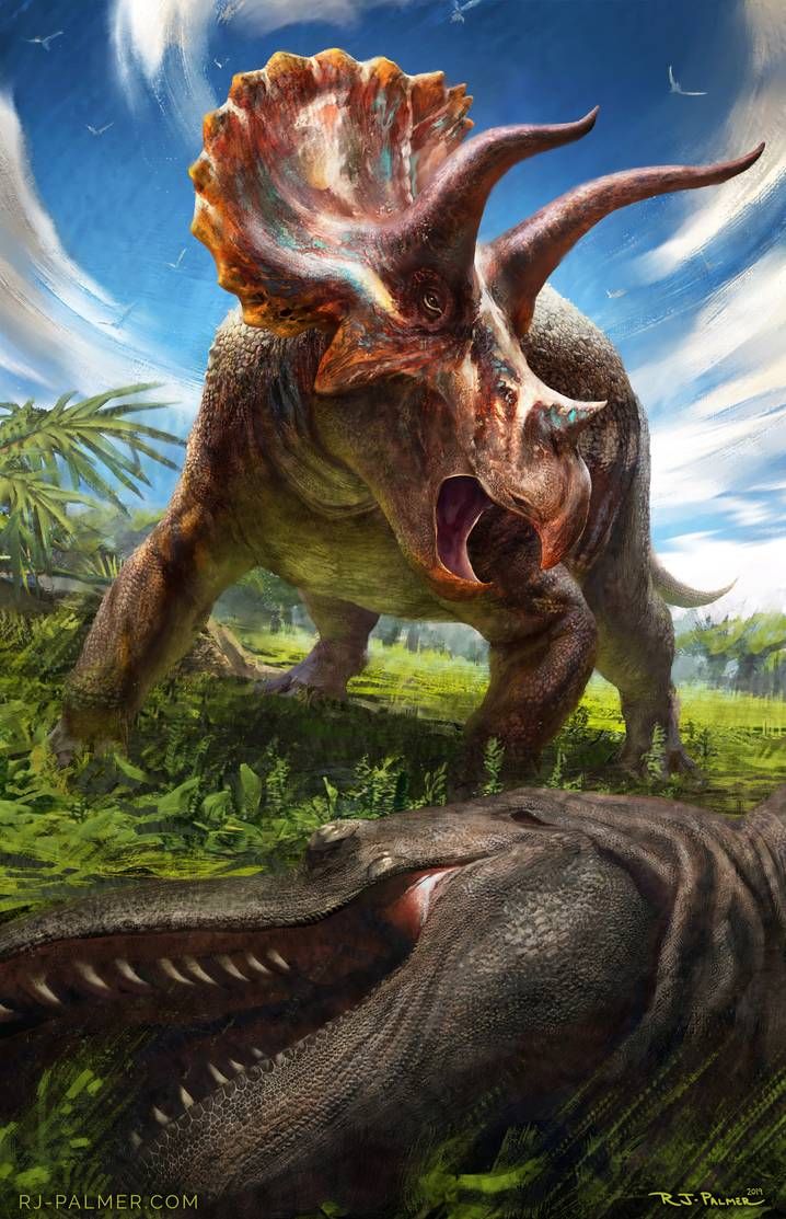 Botm Triceratops Horridus By S Deviantart Arvalis On