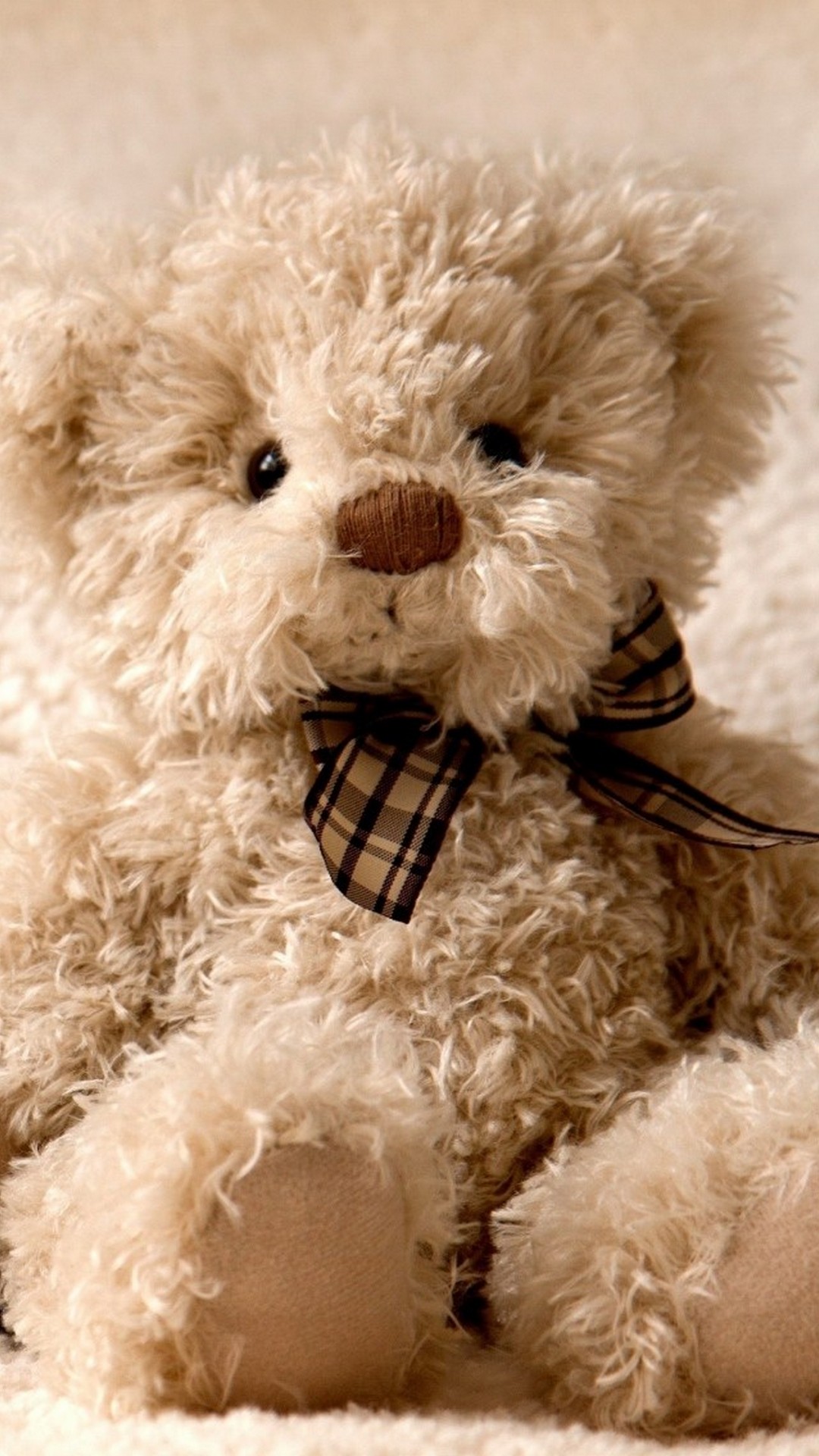Amazing Cute Bears Wallpaper