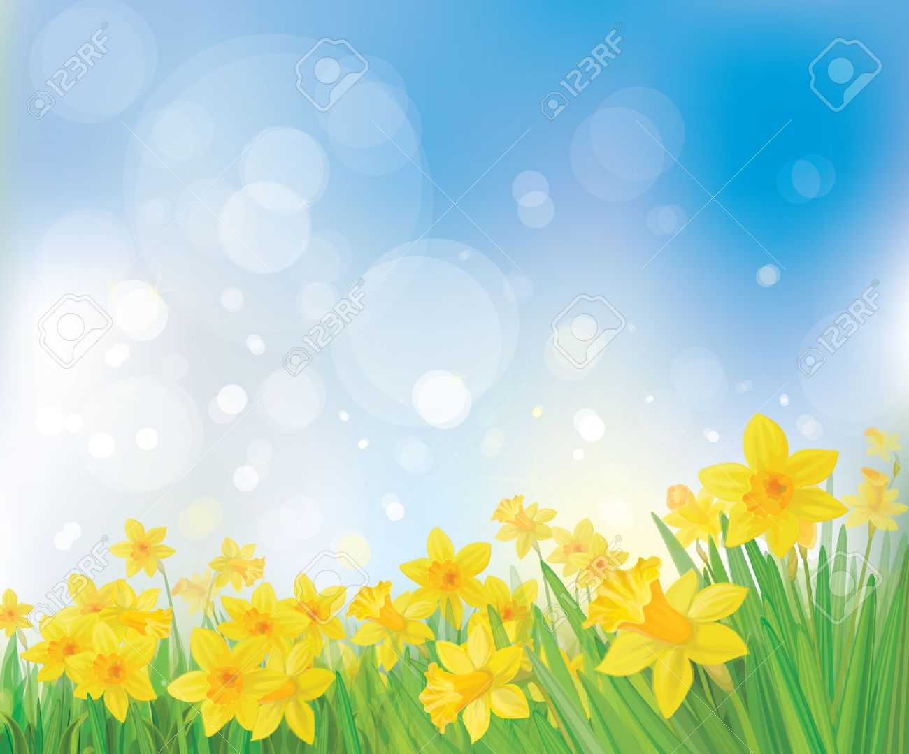 Vector Of Daffodil Flowers On Spring Background Royalty