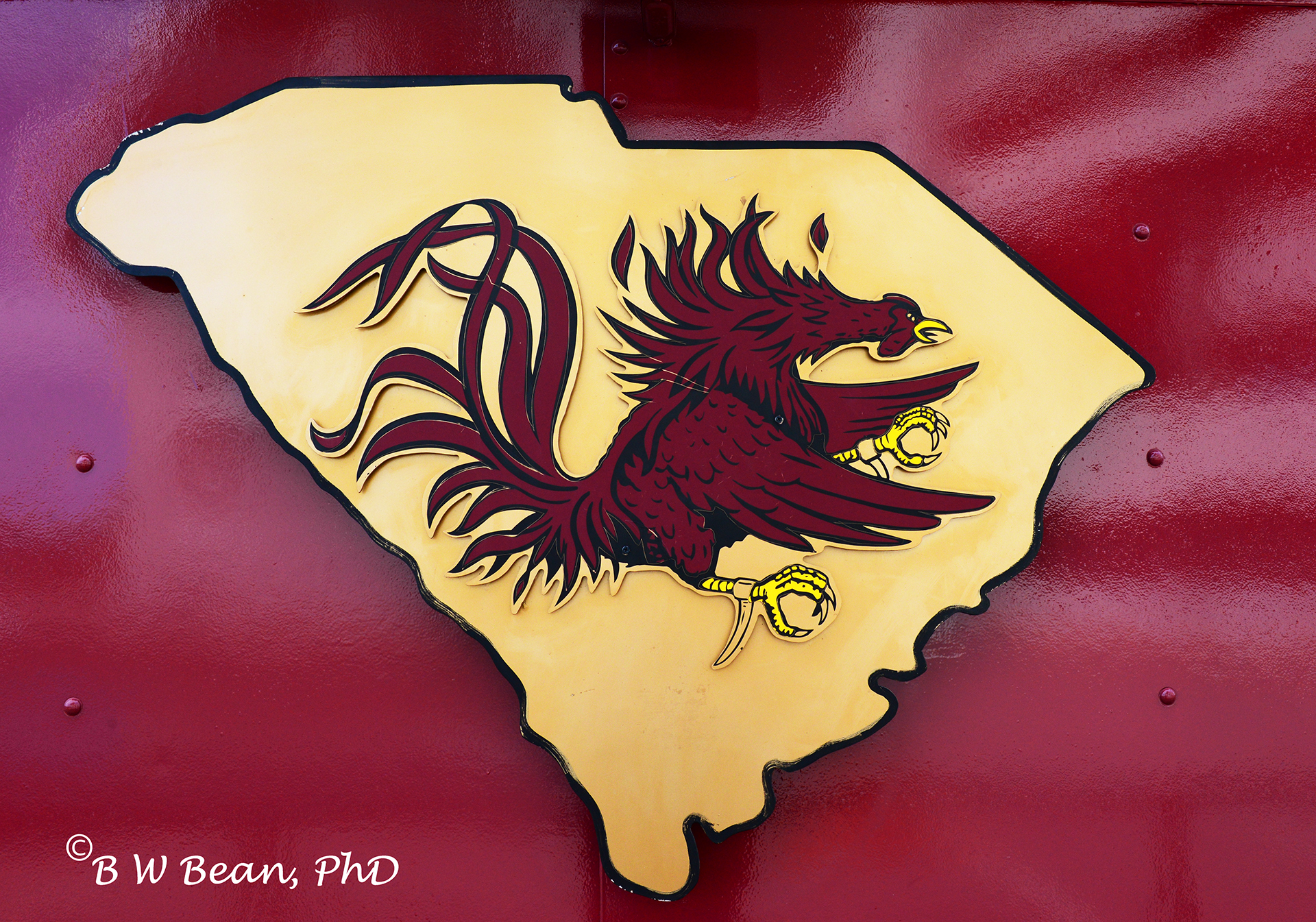  Download In South Carolina Football Is A Passion Visit The University 