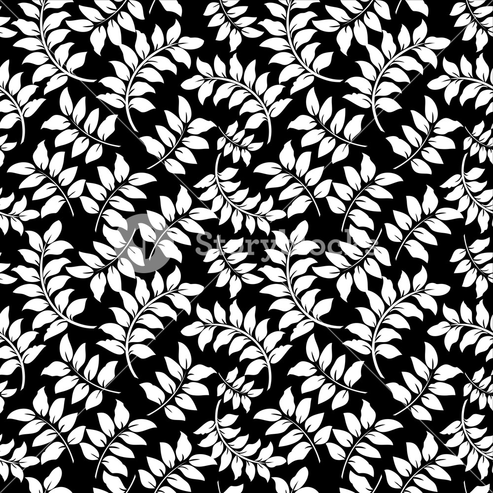 Pattern Of White Vines On A Black Background Royalty Stock