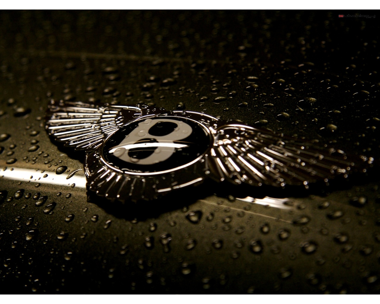 Bentley Logo Wallpaper