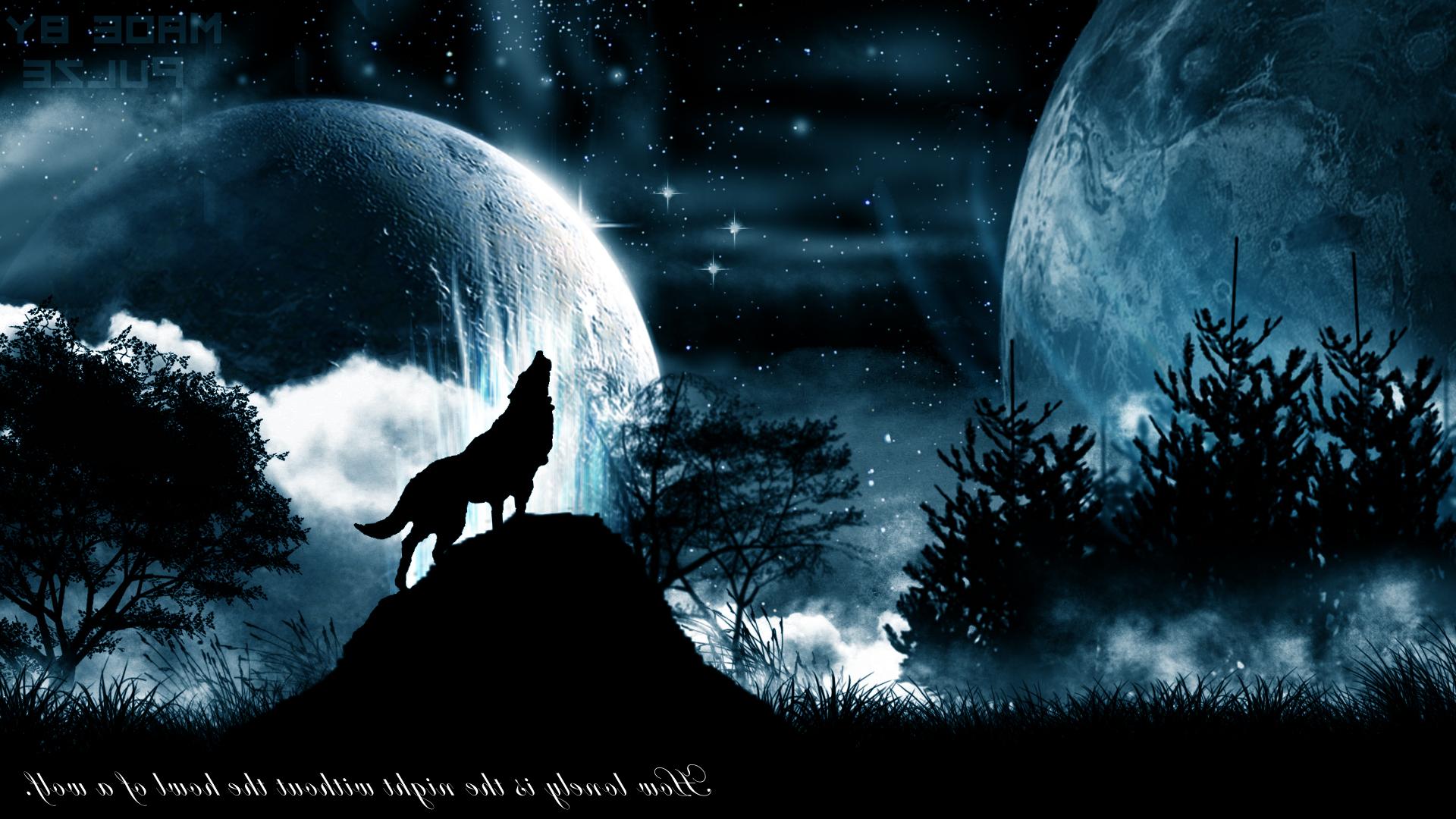 Animals Wallpaper HD Black Wolf Howling Image At