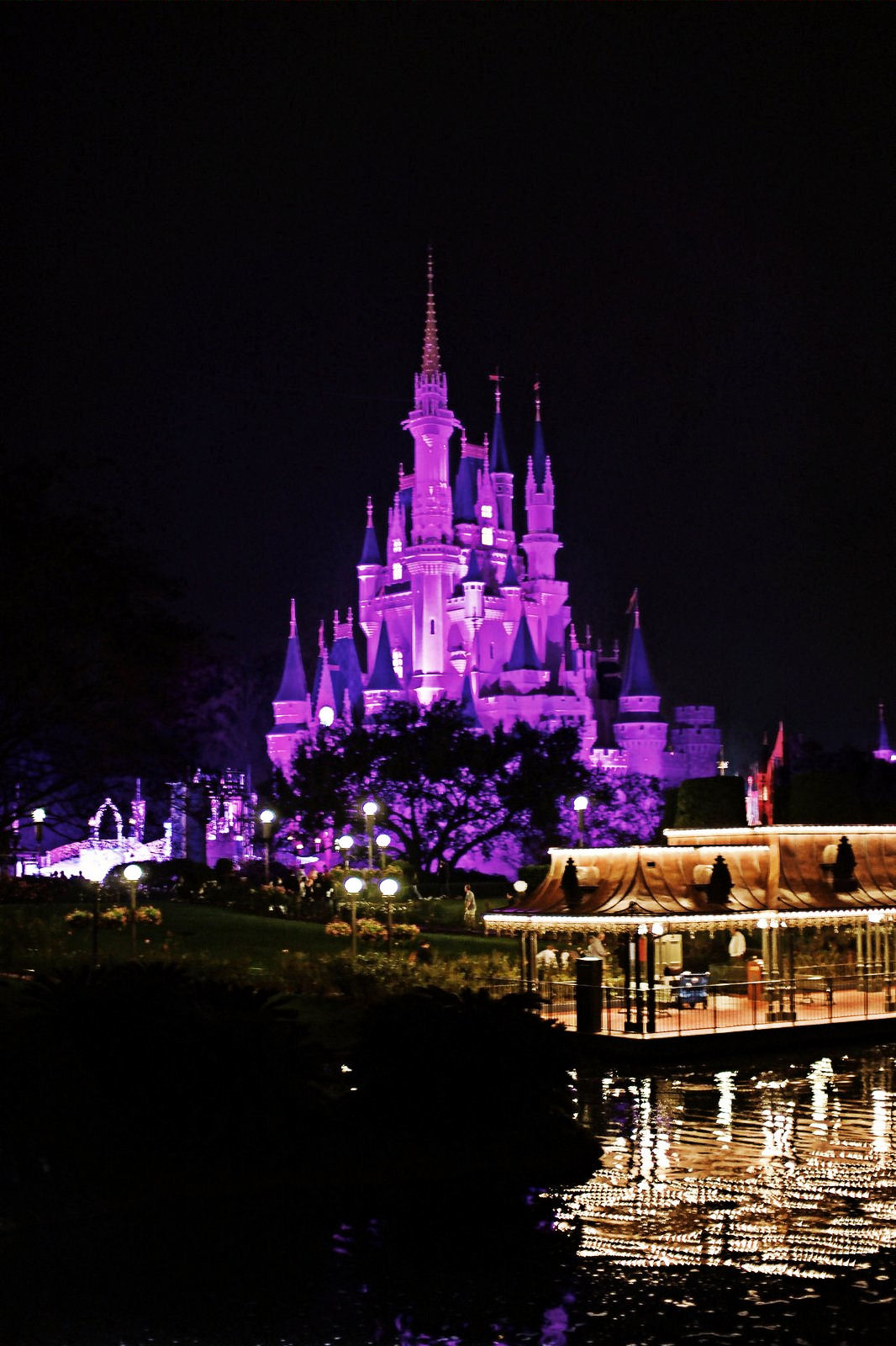 Disney Castle Night Posters