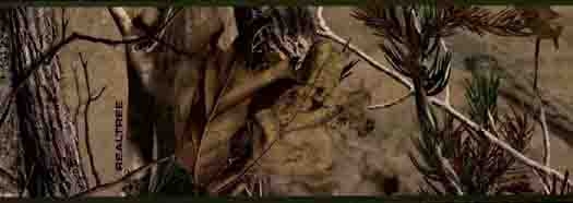 Real Tree AP Wallpaper Border   Wallpaper Border Wallpaper inccom