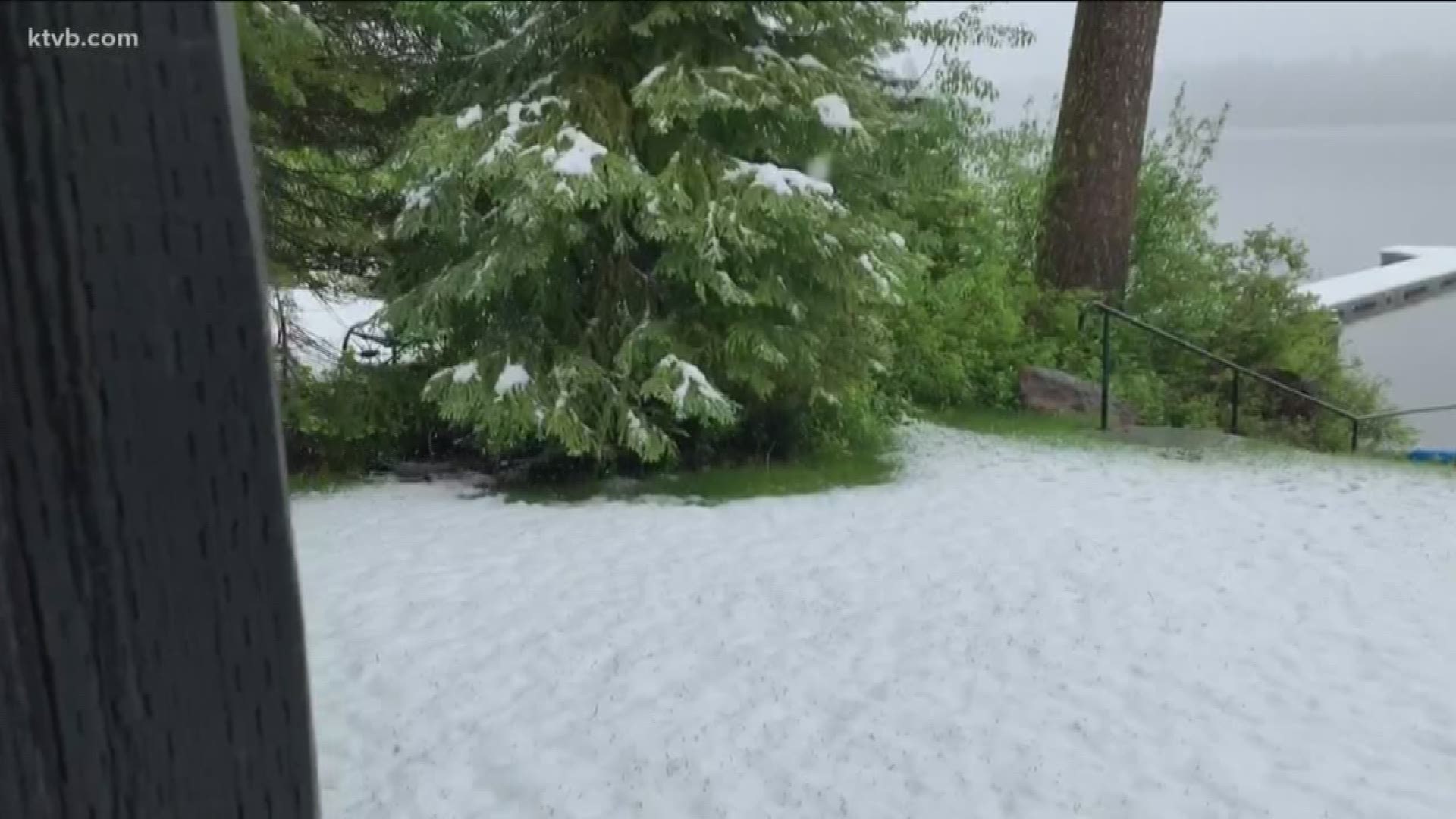 Unusually Cold June Storm Drops Over Inches Of Snow On Bogus