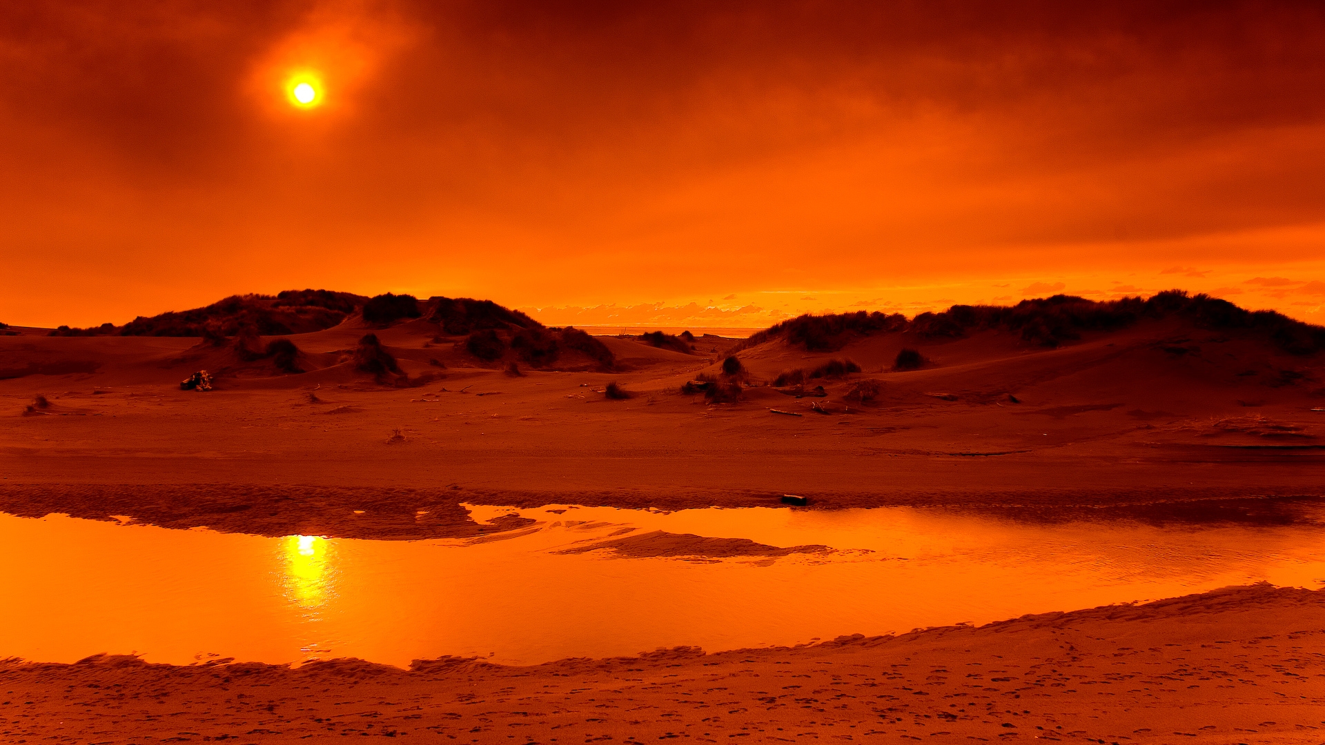 Sunset Desert Wallpaper