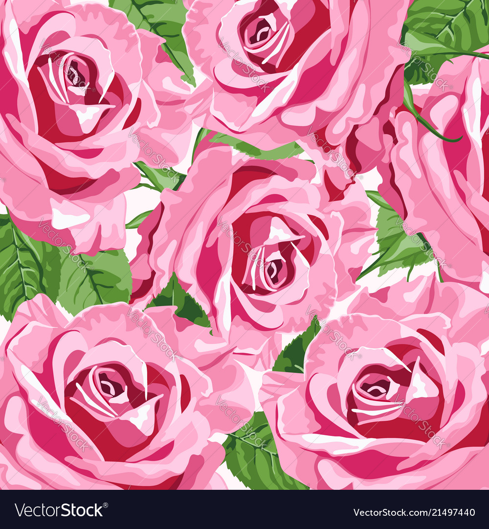 Bright Pink Roses Background Royalty Vector Image