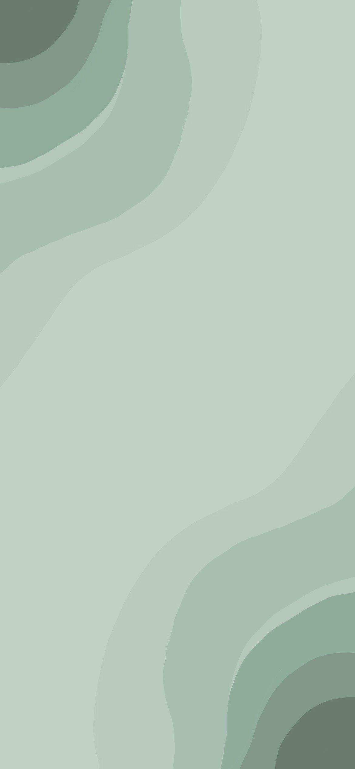 Sage Green Aesthetic Wallpaper