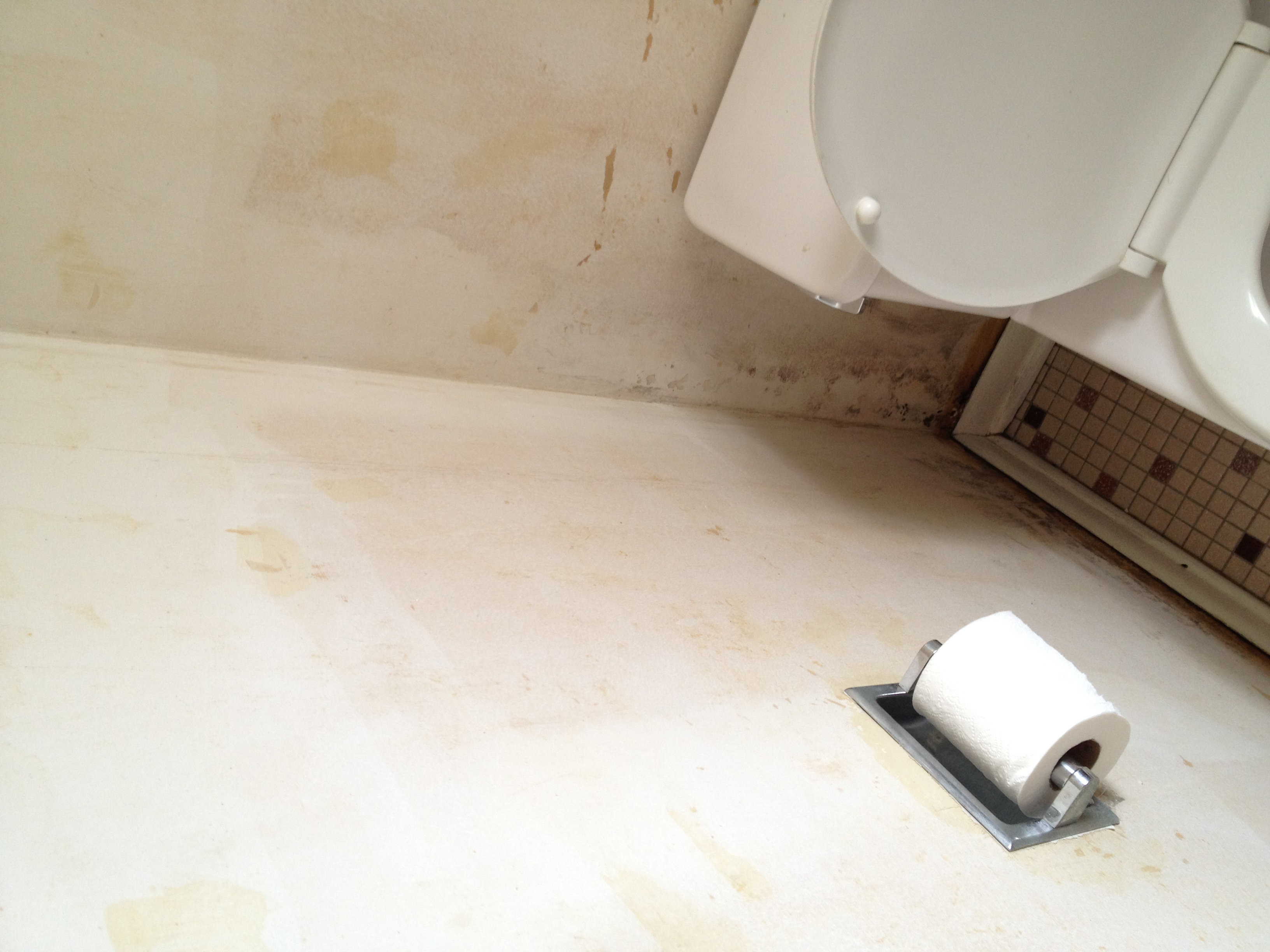 Cleaning Mold Off Wallpaper WallpaperSafari