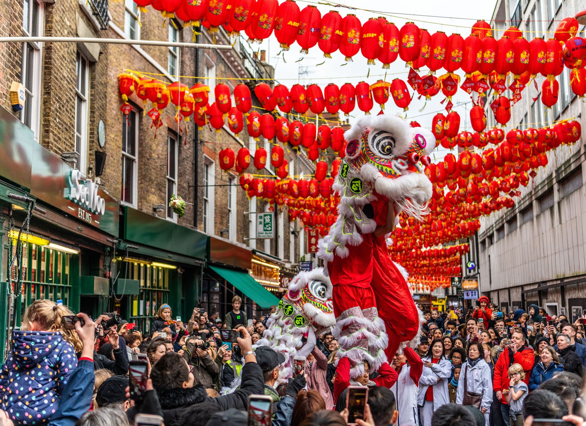Chinese New Year Wallpaper