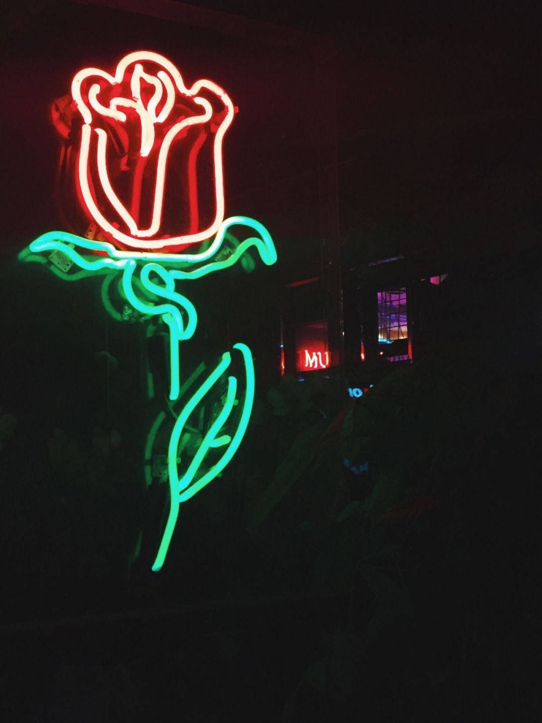 Glowing Rose Neon Aesthetic iPhone Wallpaper