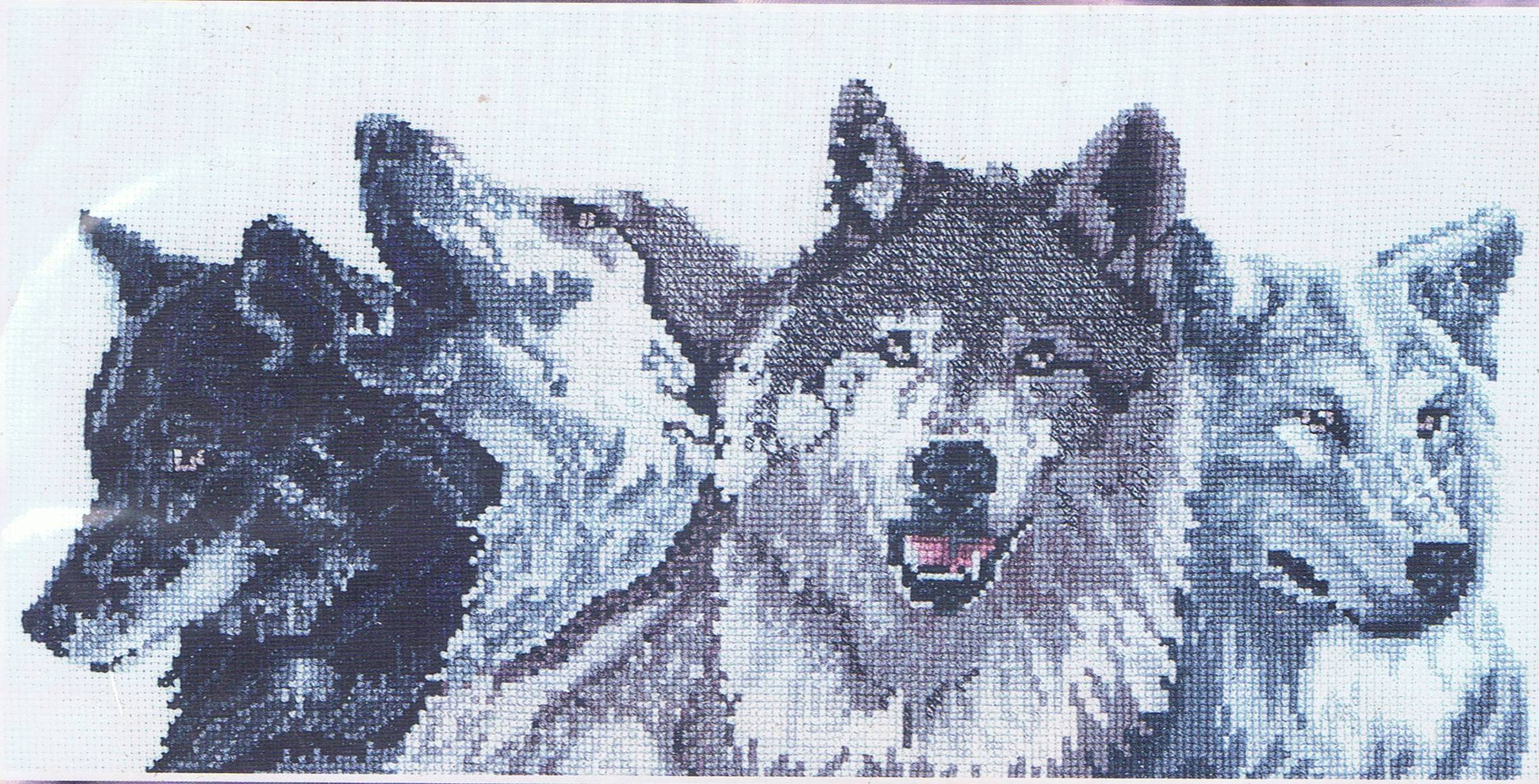 Wolfpack Wallpaper