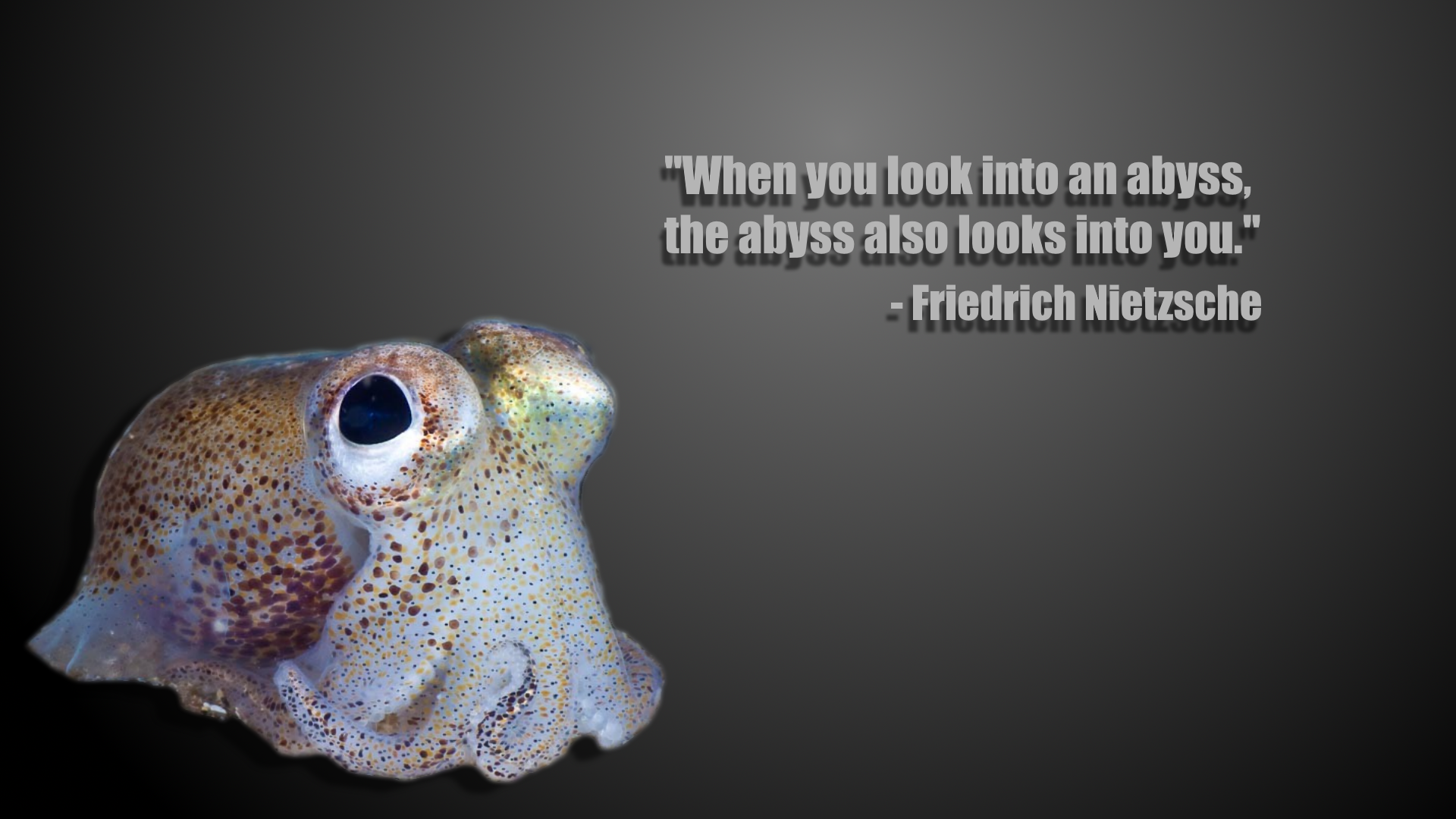 Existential Cephalopods