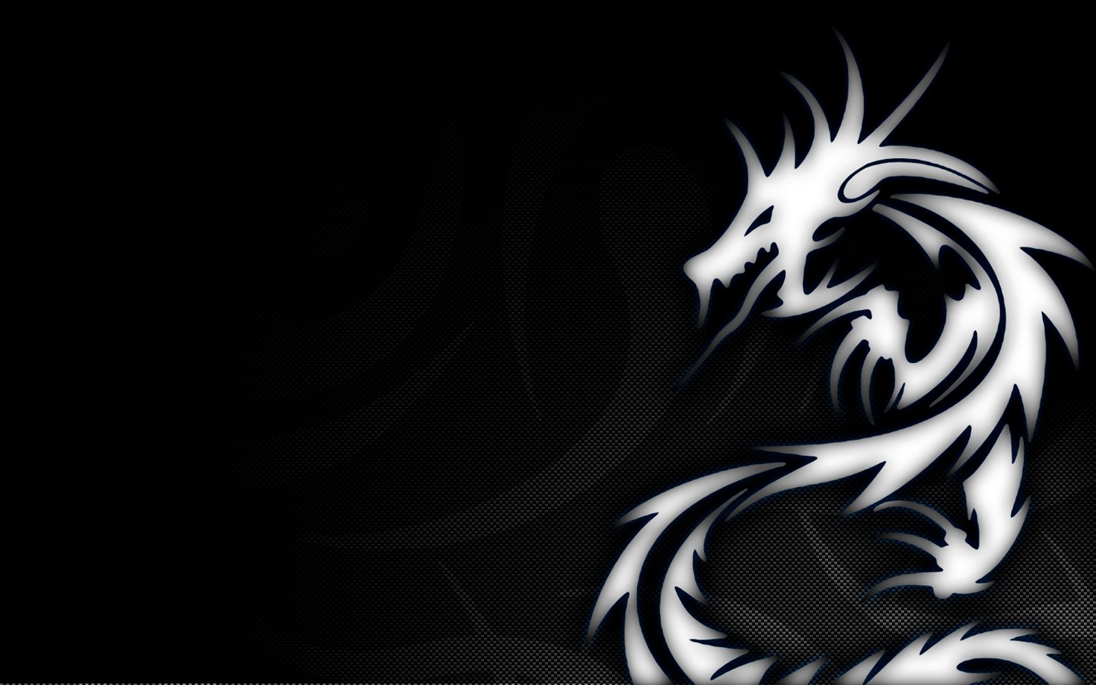 Dragon Logo Designs HD Wallpapers Download Wallpapers in HD 1600x1000
