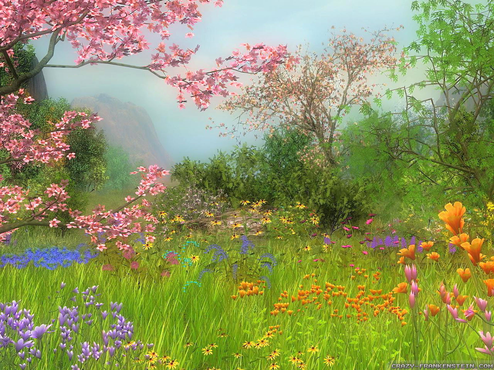 Beautiful Spring Scenes Wallpaper Hq Definition