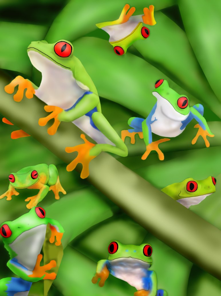 Red Eyed Tree Frogs By Missimoinsane